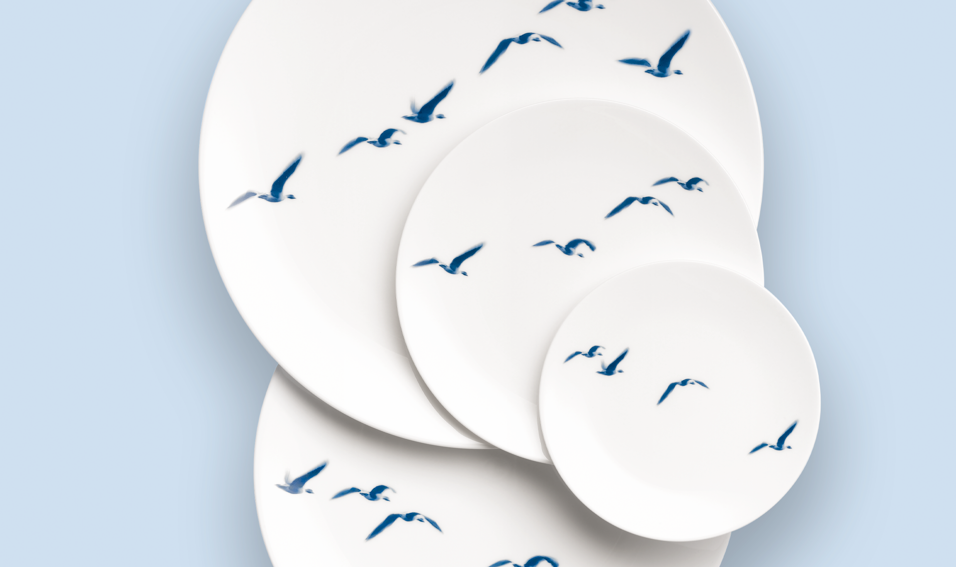 Blue Birds